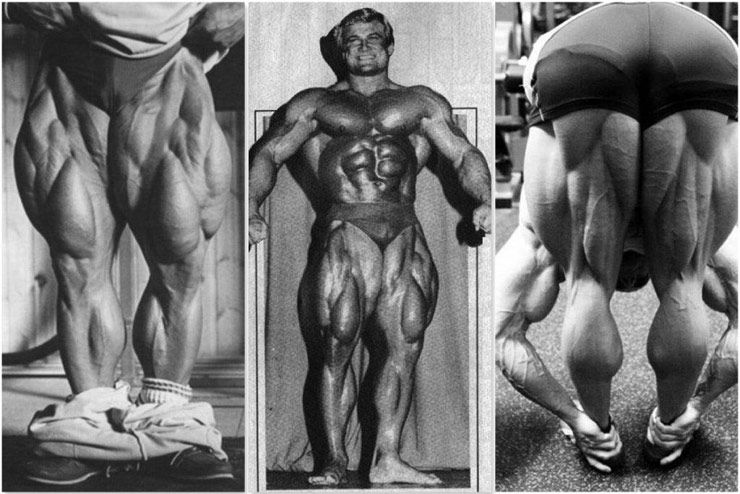 Tom Platz Leg Day: Unveiling the Blueprint for Insane Leg Development